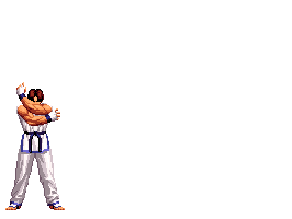 Patadas taekwondo 15180